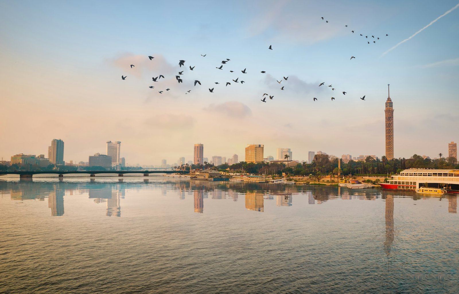 The Flock of birds over river Nile