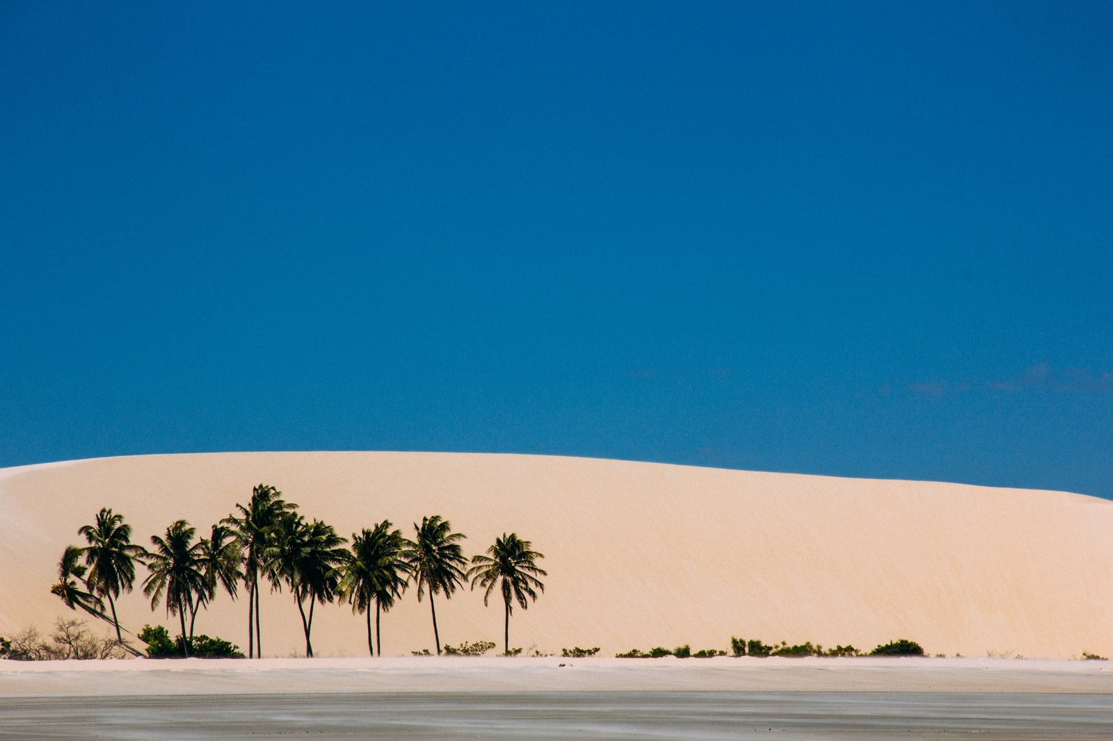 Oasis