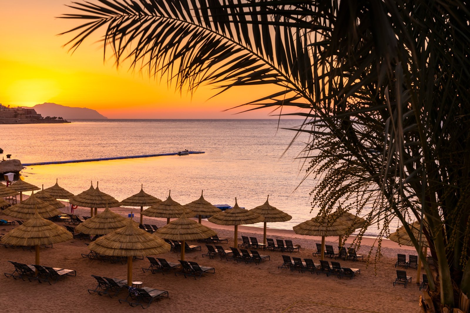 Sunset at the beach with palm trees, parasols and sunbeds.